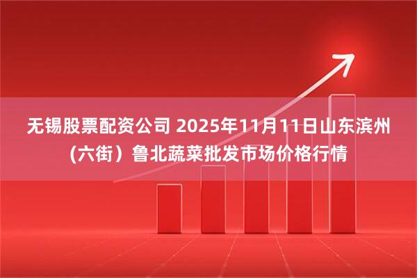 无锡股票配资公司 2025年11月11日山东滨州(六街)鲁北蔬菜批发市场价格行情