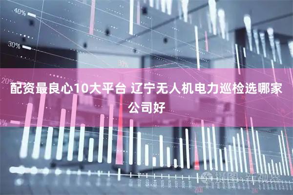 配资最良心10大平台 辽宁无人机电力巡检选哪家公司好